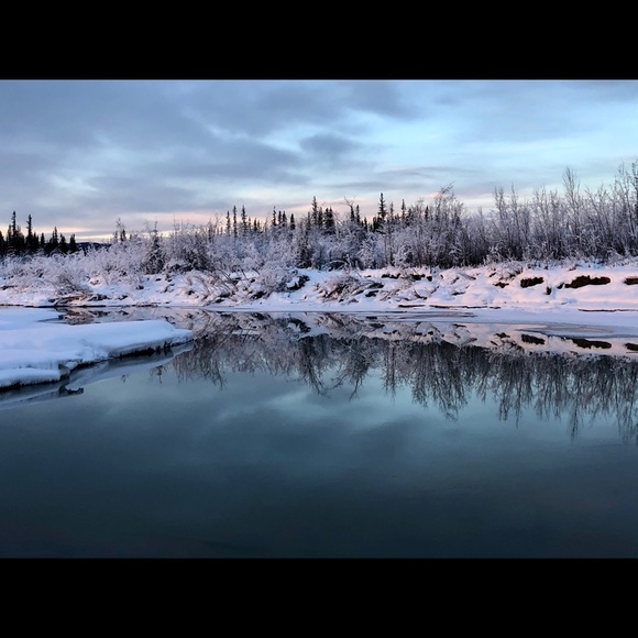 Meet your Posher, Posh - Picture 8 of 9